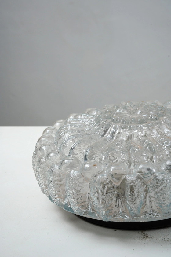 Molded Bubble Glass Flush Mount Ceiling Light, Metal (photo 8 of 8)