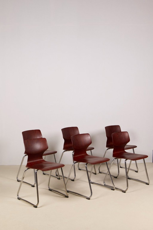 6x Pagholz Flötotto Stoelen