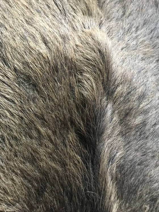 Image 1 of Piel de jabalí