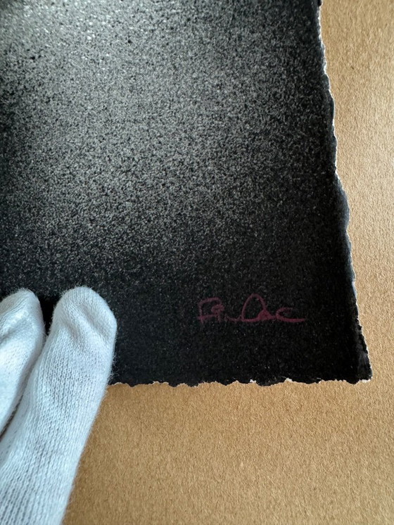 Image 1 of FIN DAC – Haiconca (Rosa) - Edizione /40 – Firmato a mano e numerato - COA