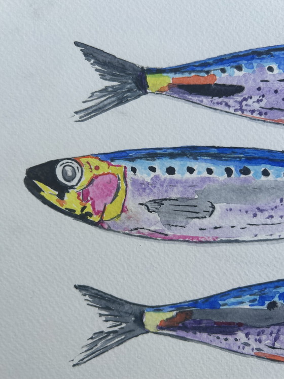 Sardines Watercolor – sennelier, Wall decoration, Cotton, Paper (photo 5 of 7)