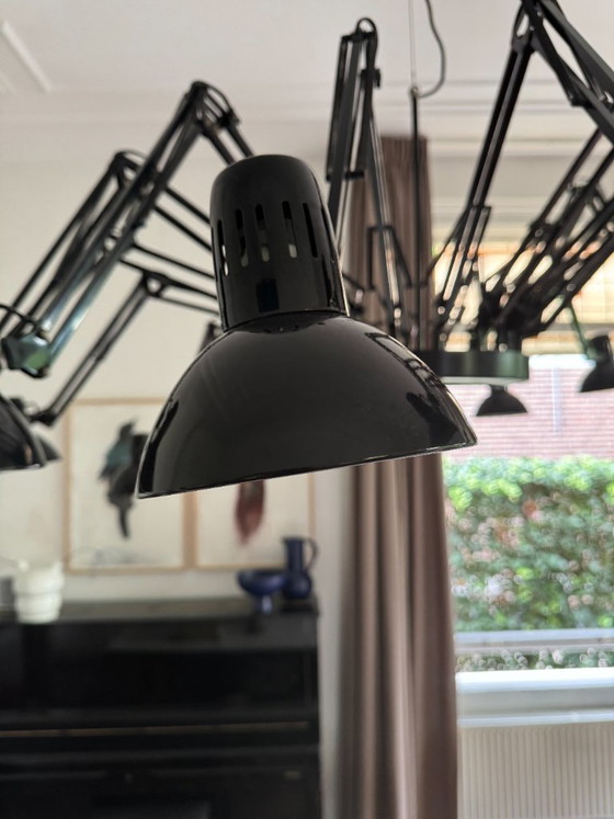 Image 1 of Lampada a sospensione Dear Ingo - di Ron Gilad - Moooi