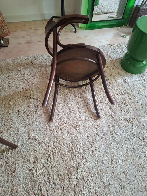 2 preciosas sillas de comedor Thonet.