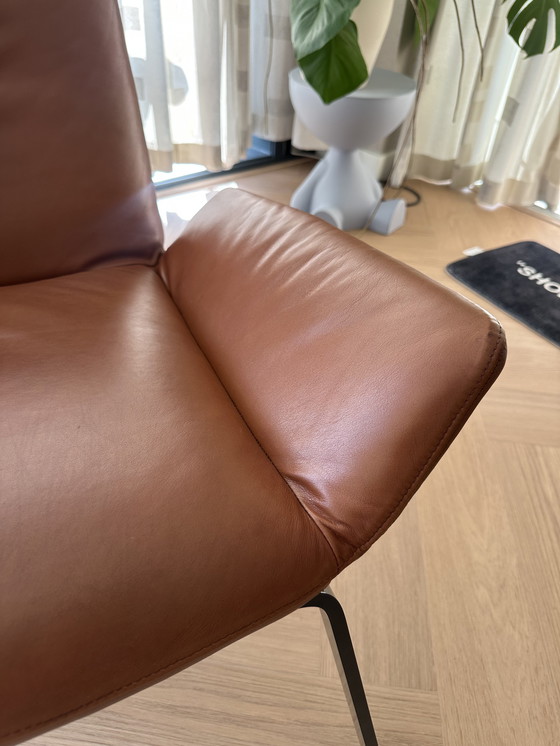 Image 1 of Ottime condizioni Design on Stock Poltrona Komio - Pelle cognac - NP: €1.829