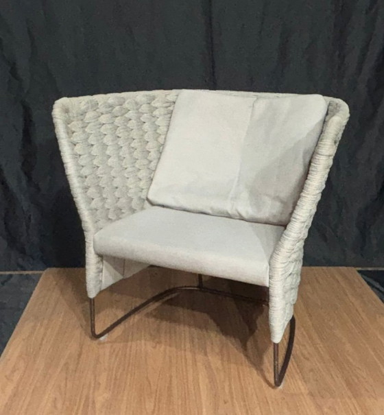 Image 1 of 6 sedie, poltrone, divani PAOLA LENTI AMI Tweet. POLTRONA B32