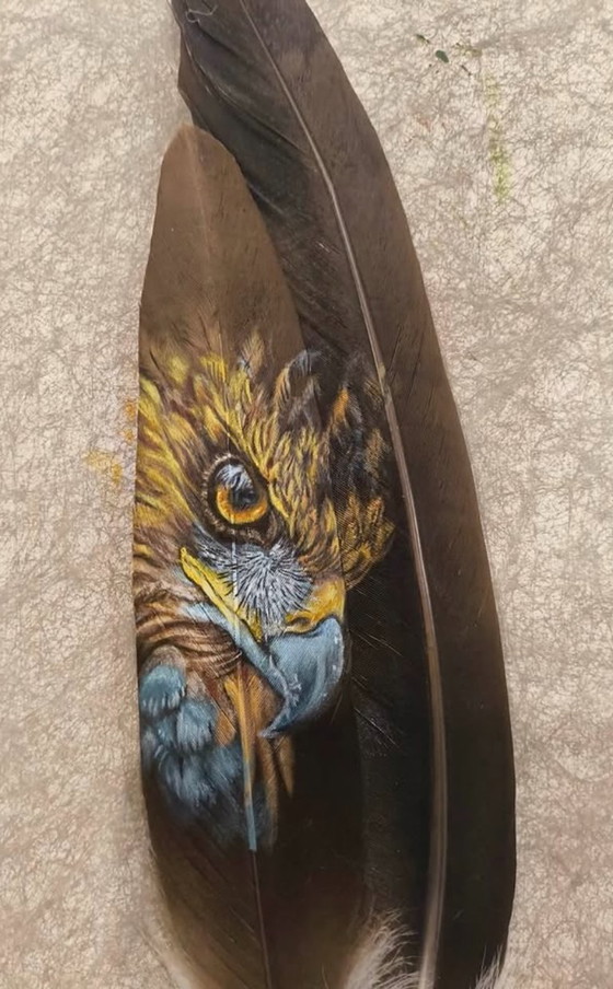 Image 1 of Sandra Melin Raptor Acrilico su piuma di tacchino nera