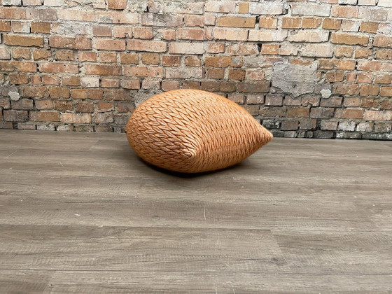 Image 1 of Casalis Slumber orange