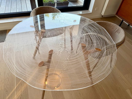 Mesa de comedor de diseño Roche Bobois - Plexiwood – Mesas de comedor, Plexiglass (photo 3 of 5)