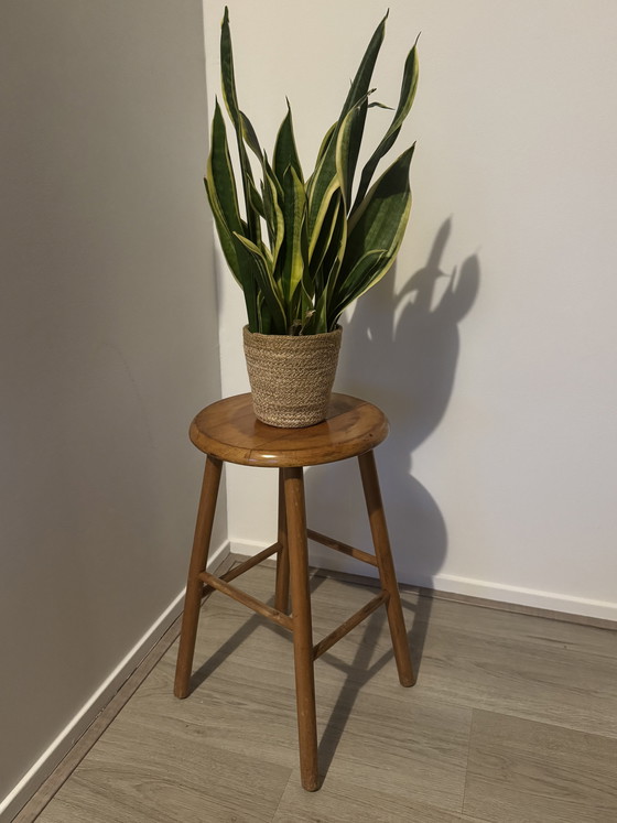 Image 1 of Vintage Wooden Stool / Plant Table