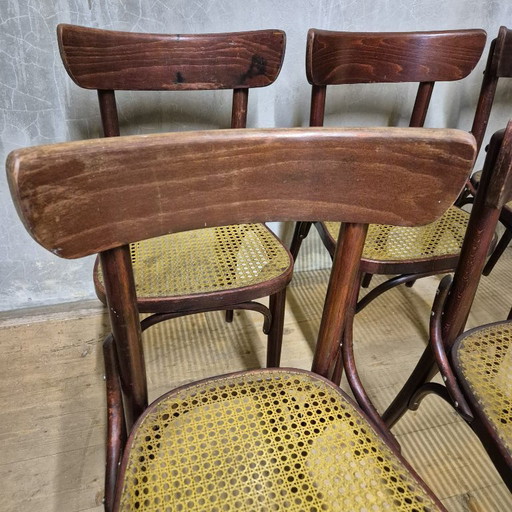 Set of 6 Dining Chairs, Thonet Style, 1960s, Czechoslovakia