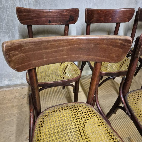 Image 1 of Set van 6 eetkamerstoelen, Thonet-stijl, jaren 60, Tsjecho-Slowakije