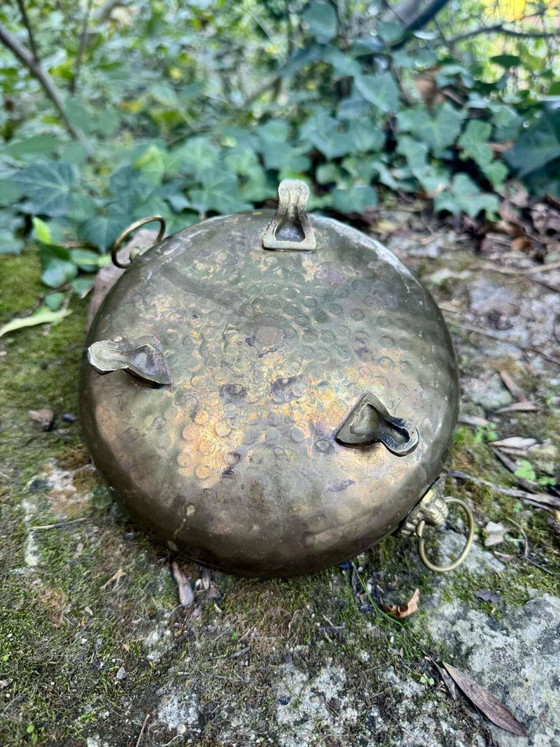 Jardinière leone in ottone del XIX secolo – Vasi per piante, Brass (photo 5 of 7)