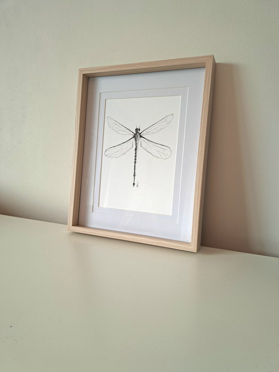 Image 1 of Dragonfly illustration | Dragonfly illustration art