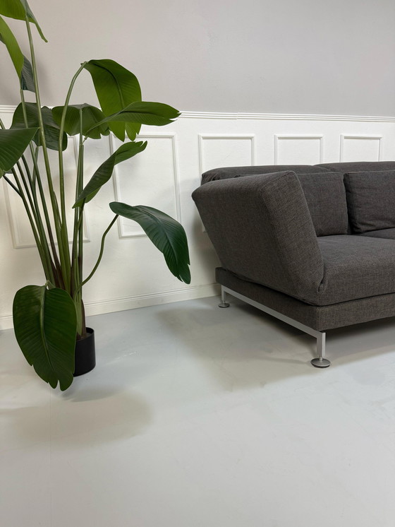 Image 1 of Brühl Moule Sofa Grau Schlafsofa Designer Schlaffunktion