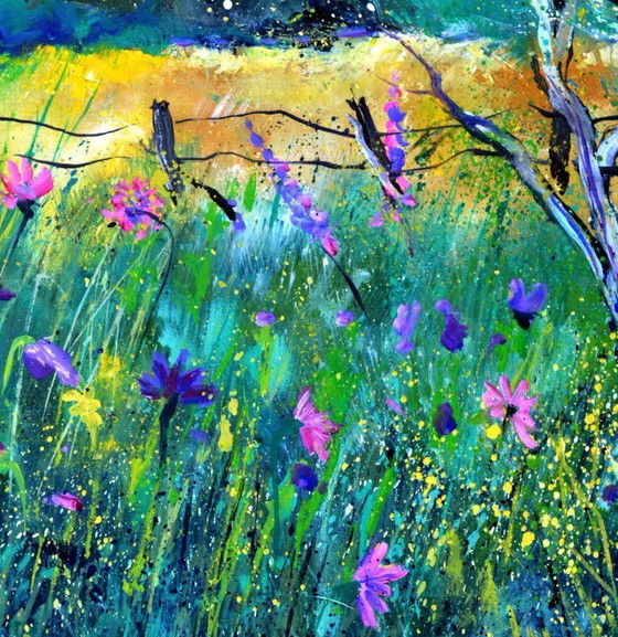 Image 1 of Wild summer flowers