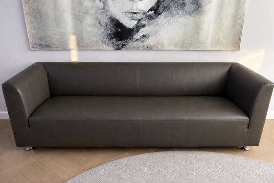 Image 1 of Moderne leren Gelderlander  2.5 bank – strak design & goede staat