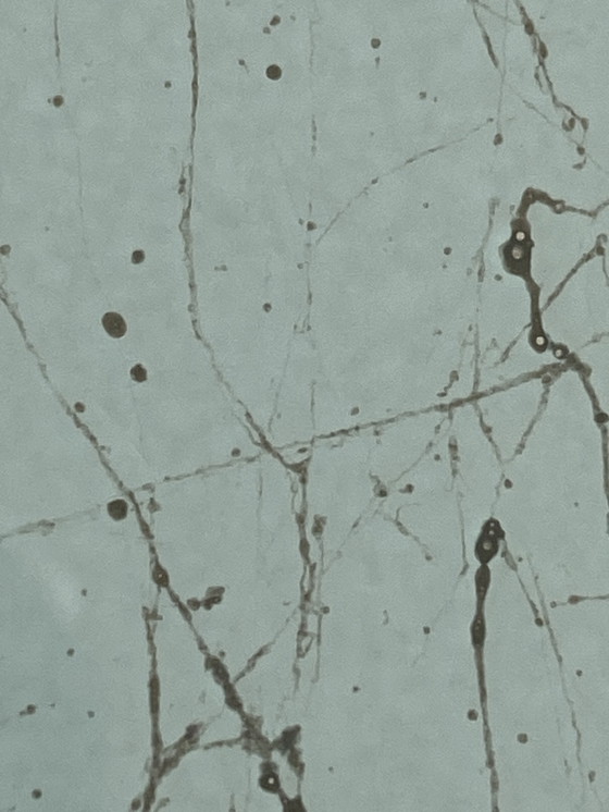 Image 1 of Leolux glazen tafel