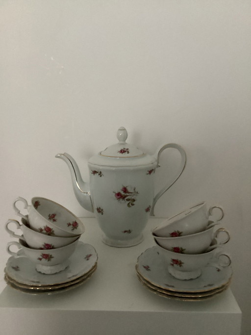 Vintage Bareuther Bavaria Geschirr mit Rosen (13-teilig)