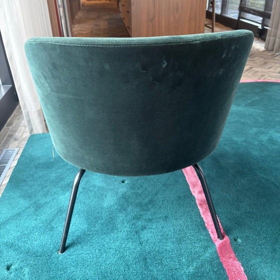 Wittmann Merwyn 29612 Poltrona Lounge – Poltrone, Metal, Velvet (photo 5 of 5)