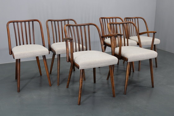 Image 1 of 1960 Antonin Suman Ensemble de six chaises de salle à manger en hêtre, restaurées