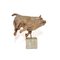 Toro Terracotta by Mario Bertozzi – beeldhouwkunst, Marble
