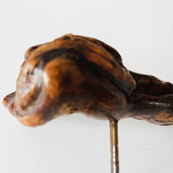 Image 1 of Tire-bouchon français vintage à 9 racines en bois et vigne, années 1950