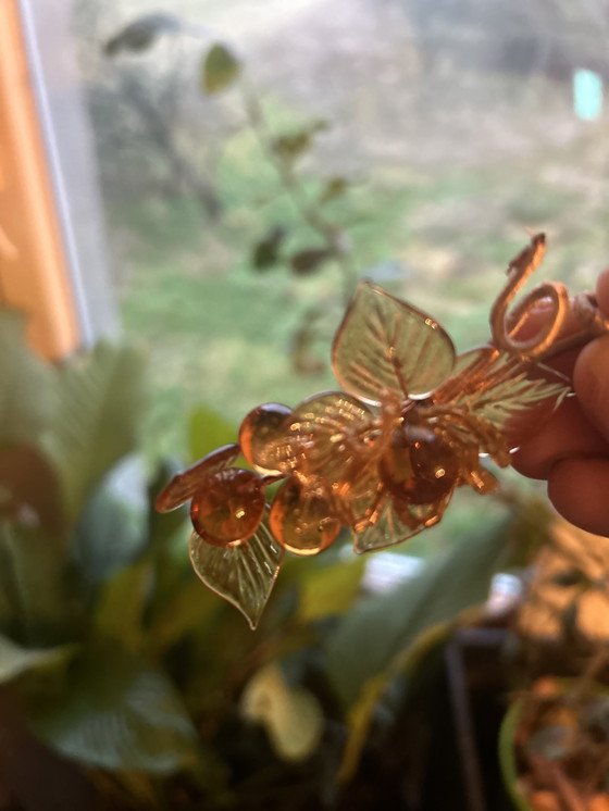 Image 1 of Lot of 20 Murano amber grape bunches