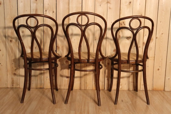 Image 1 of Set aus 6 Hofmann Bistrostühlen, Modell Engelsflügel