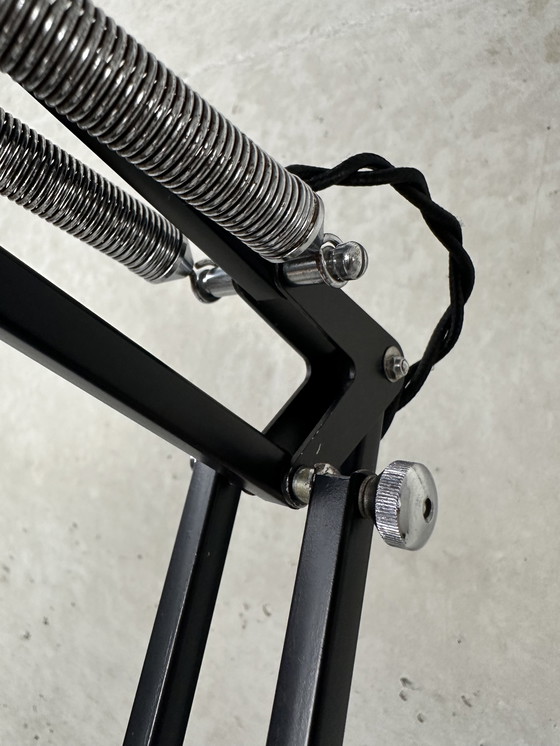 Image 1 of Original Anglepoise Herbert Terry 1209 - lámpara de pie - años 40