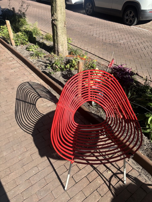 Rohe Noordwolde