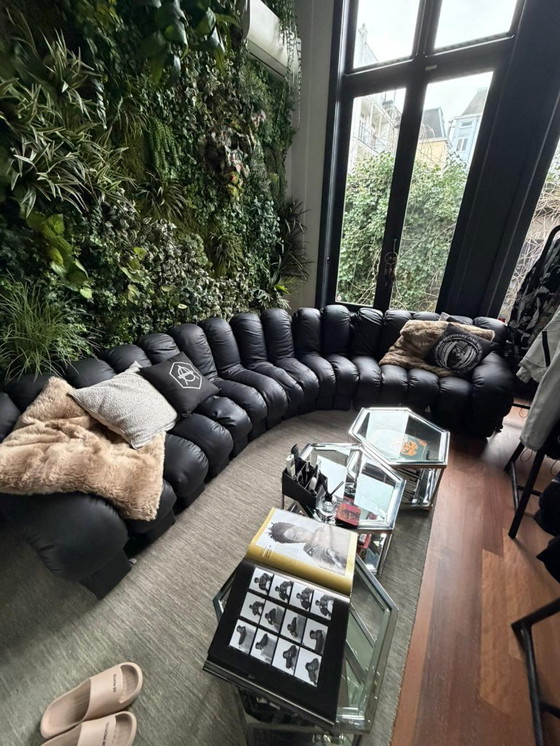 Image 1 of Sofá Sede DS-600