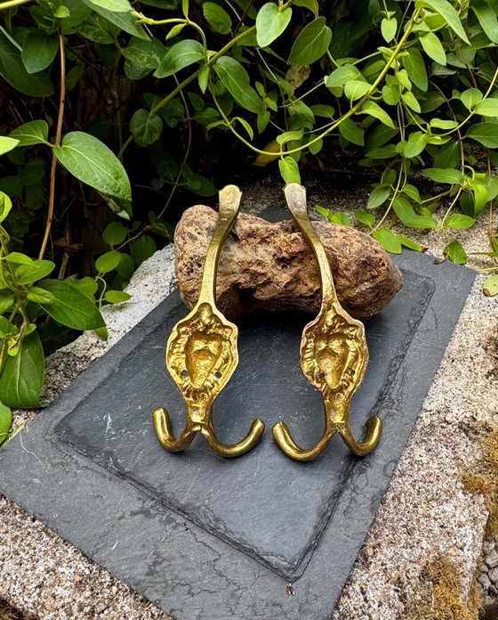 2 appendiabiti a forma di leone in ottone massiccio Art Nouveau – Brass (photo 5 of 6)