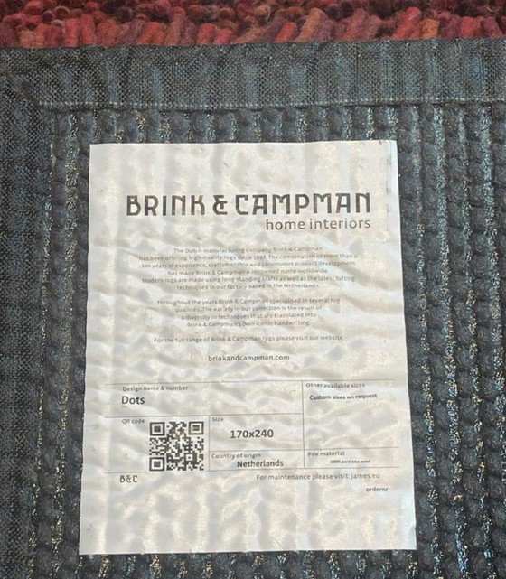 Image 1 of Rescue of carpets from Brink and Campman Dots