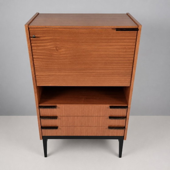 Vintage Cabinet by Francisek Mezulanik, 1960s – Boekenkasten, Wood (photo 10 of 11)