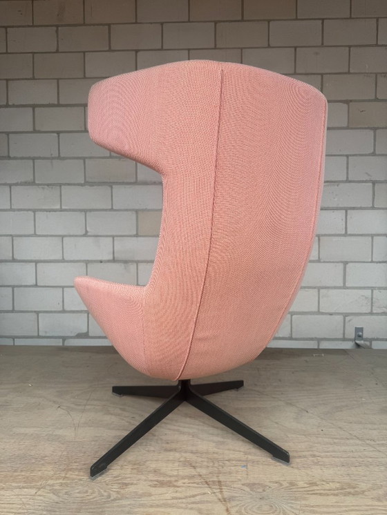 Image 1 of Sedia Moroso Take A Line For A Walk