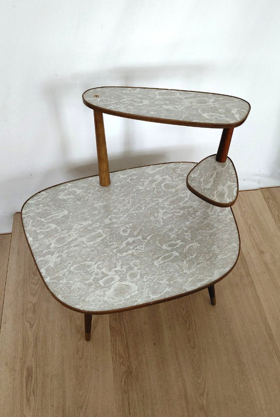 Image 1 of Gran mesa para plantas de los años 50