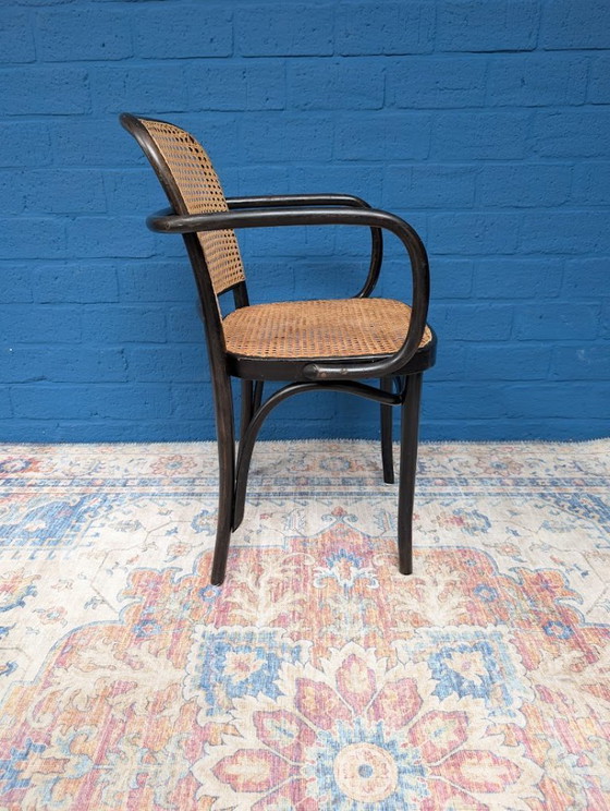 Image 1 of 4 chaises Prague 811 vintage, Josef Hoffmann, années 1960