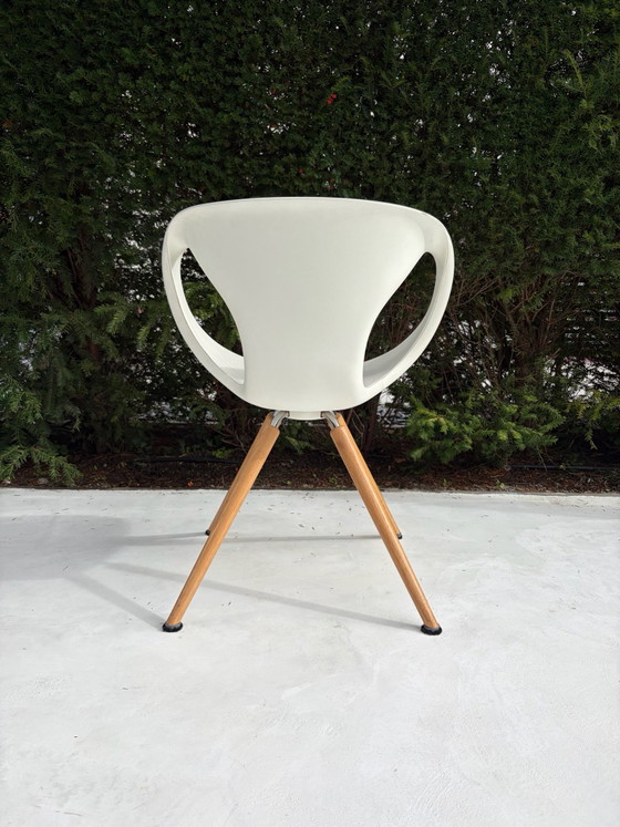 Tonon Design Esszimmerstühle – Metall, Kunststoff (photo 2 of 10)