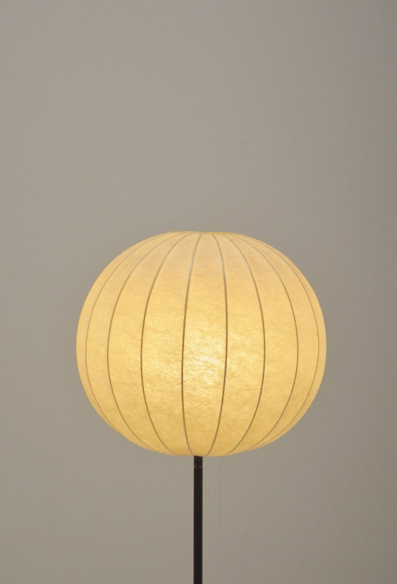 Image 1 of Lampadaire trépied vintage en forme de cocon avec accents en laiton, années 1960