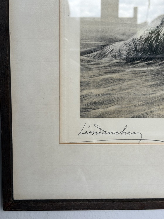 Image 1 of Original Léon Danchin Etching – English Setter & Duck – Signed Hunting Art
