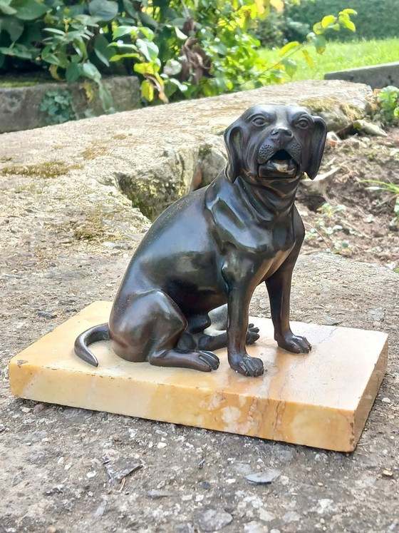 Tarjetero de Bronce Patinado, Perro con Mandíbula Articulada, Esculturas, Marrón (foto 5 de 6)