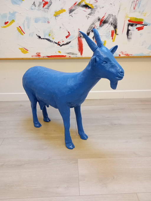 William sweetlove cloned goat Beaufort 2003