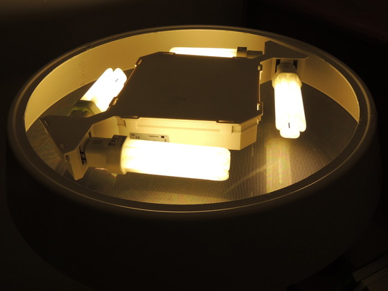 Image 1 of Lámparas de pie Belux Koi Naoto Fukasawa, diseño blanco mate regulable