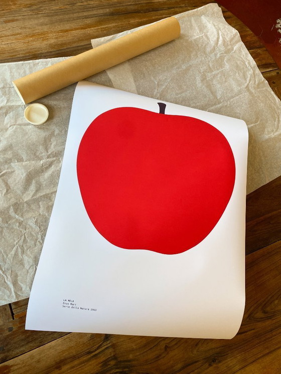 Image 1 of LA MELA Enzo Mari - Serie della Natura 1963 - Poster 50 x 70 cm