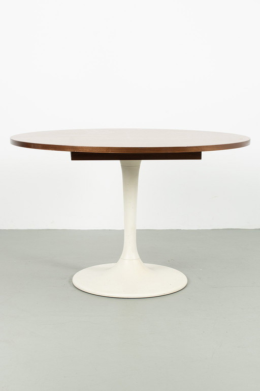 Tulpvoet tafel