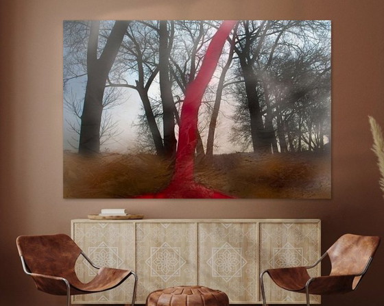 Image 1 of Dromen in het Bos 