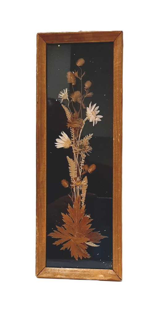 Vintage Wood Frame Natural Dried Flowers, Herbarium Edelweiss
