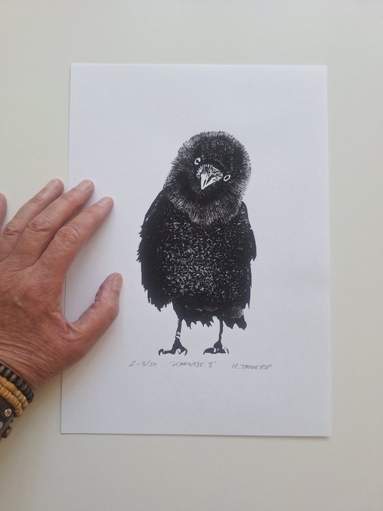 Linoleografia 'Kauwtje' – H. Tasperse, Arte, Carta (photo 3 of 6)