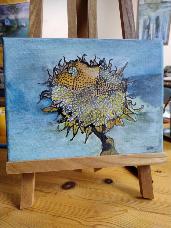 Image 1 of Tournesol