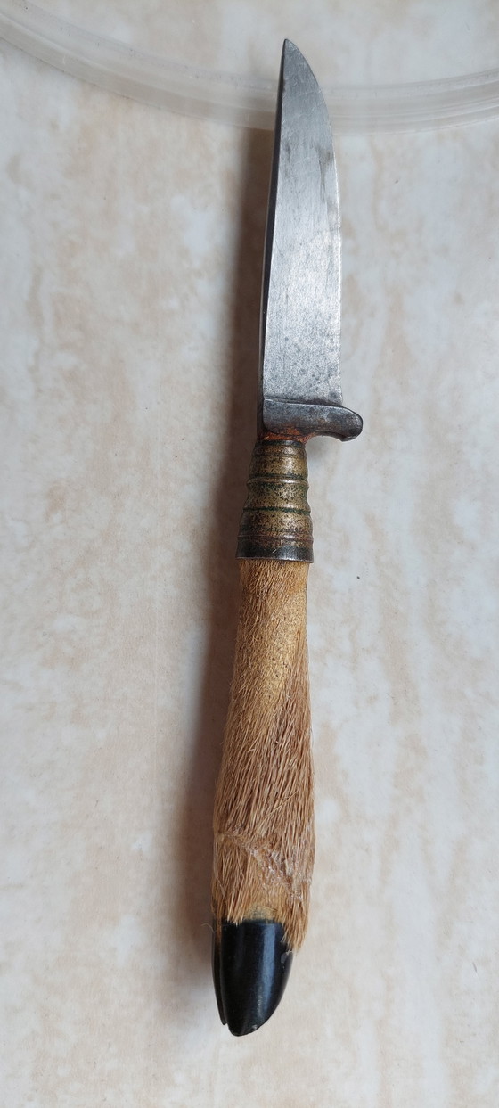 Image 1 of Coltello da caccia vintage Rehwappen Solingen con manico in zampa di cervo